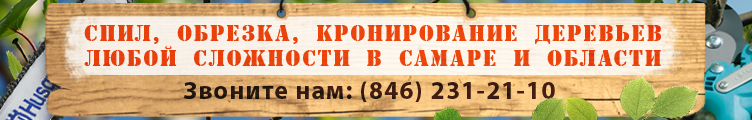 Спил, обрезка, кронирование деревьев любой сложности в Самаре и области
