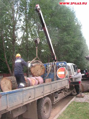 Цена на удаление деревьев, условия сотрудничества