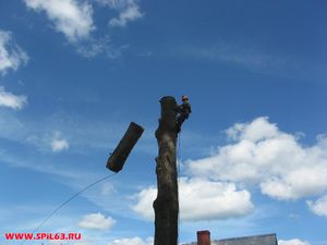 Предоставление услуг по спилу сухих и аварийных деревьев в Самаре